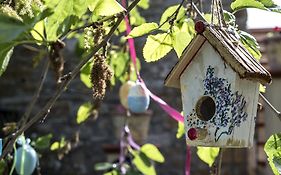 Country House Araba Phoenix